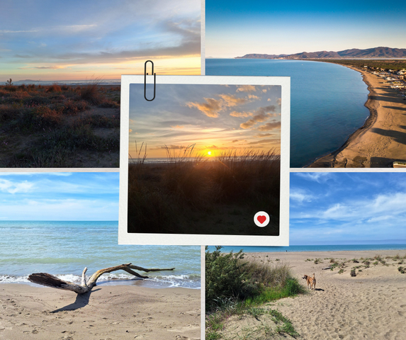 Copia di Post Facebook Collage Semplice Foto Estate Azzurro Bianco1