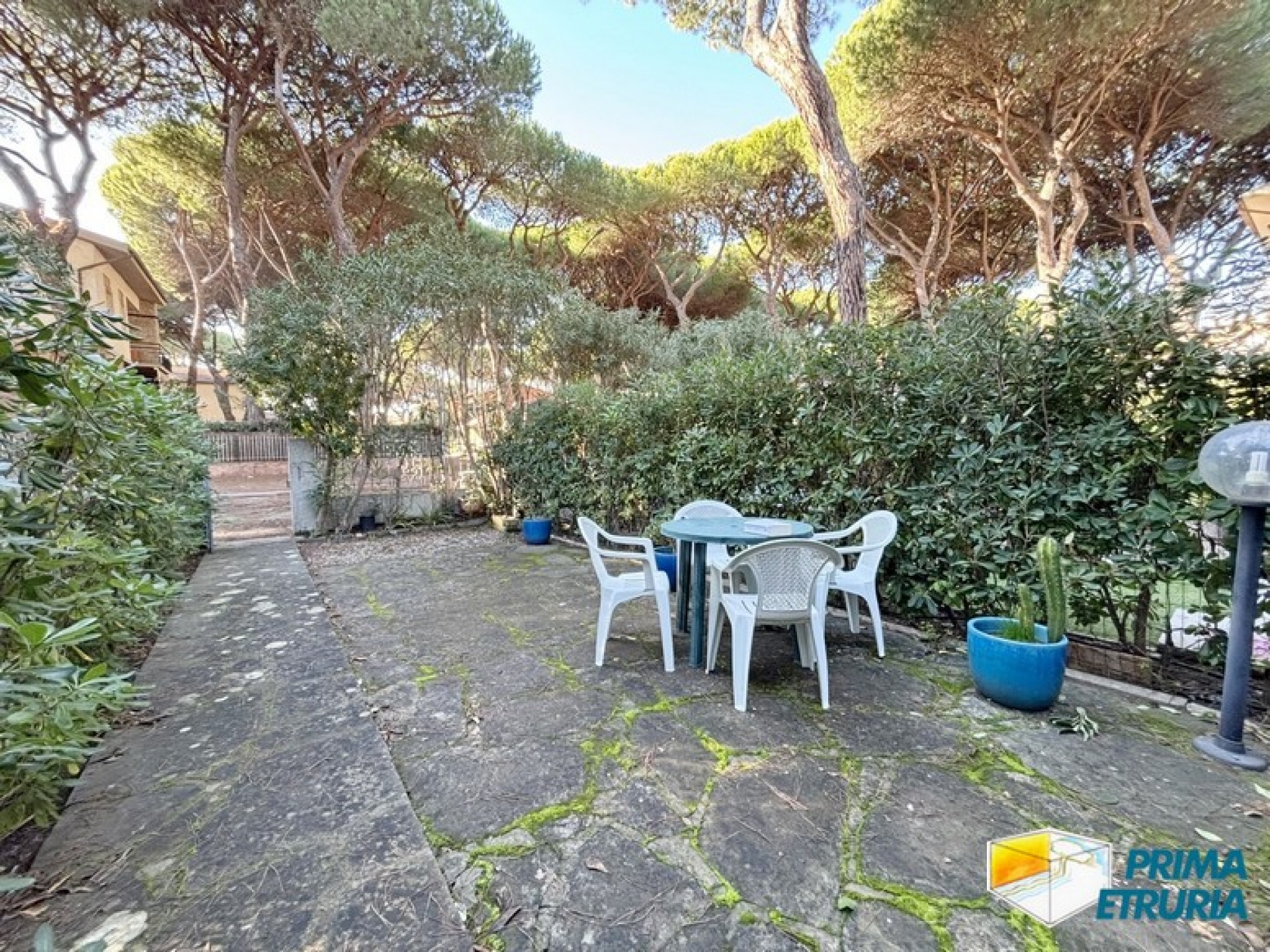 La luce del mare e il verde della pineta in una soluzione indipendente - ZONA ROSMARINA -